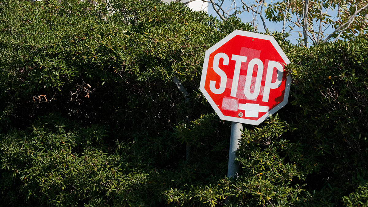 A bright red stop sign