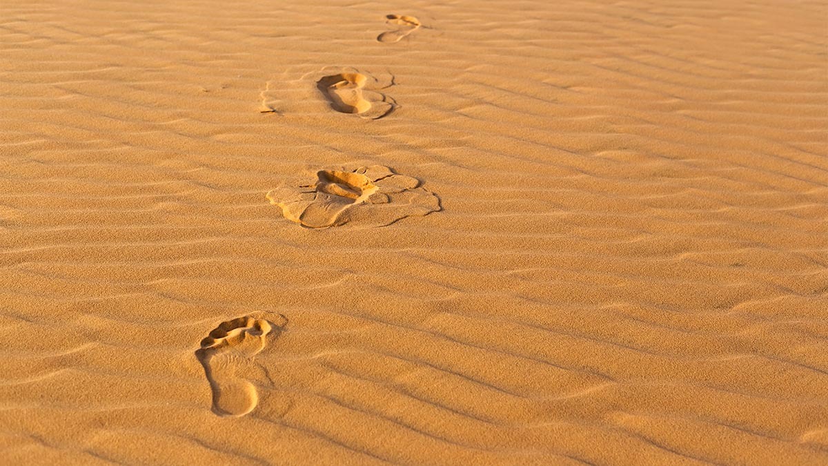 A set of footprints in the sand
