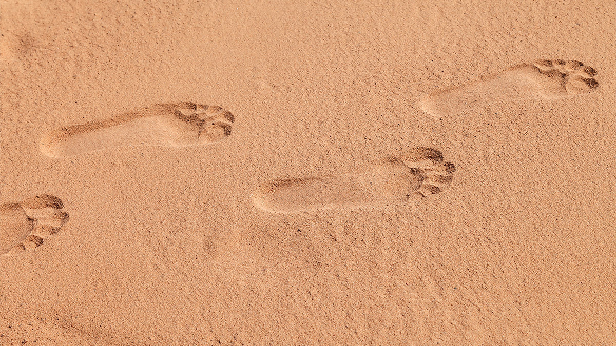 A set of footprints in the sand