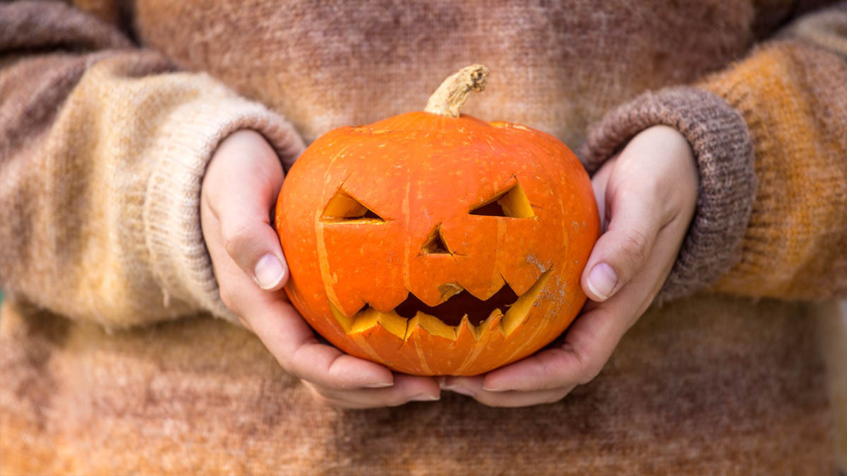 A woman in a wool sweater holds a small jack o’lantern in her hands