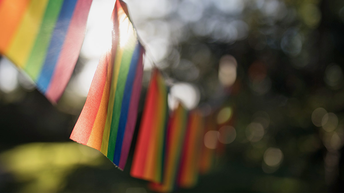 A garland of gay pride flags hangs outside, the sun casting dark shadows on the garland