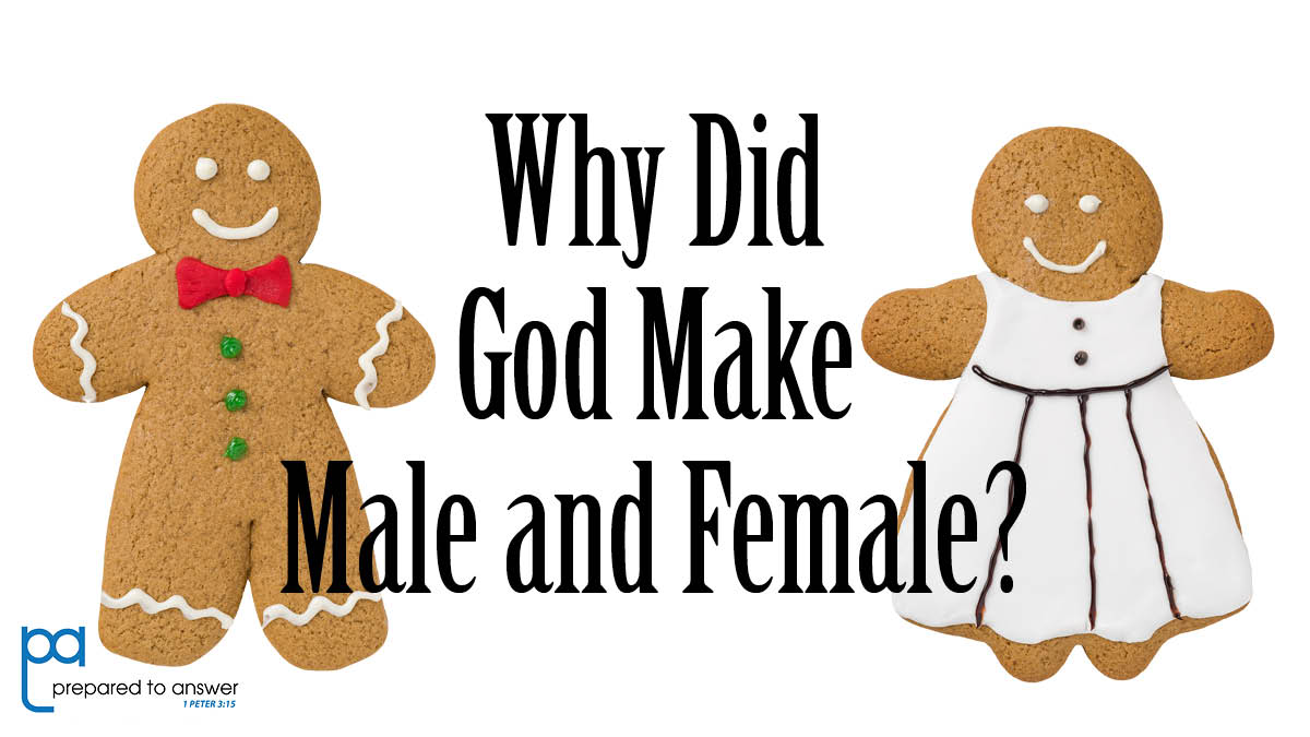 Why Did God Make Male and Female?
