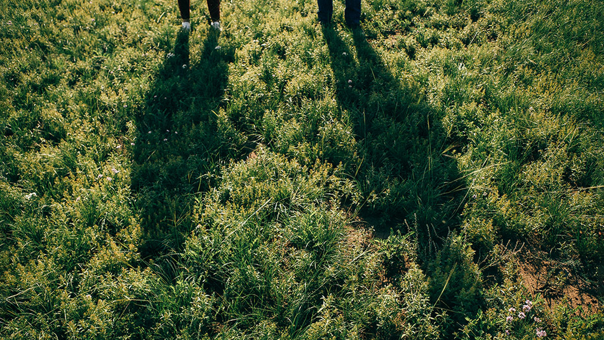 Two shadows of people are cast onto a grassy field