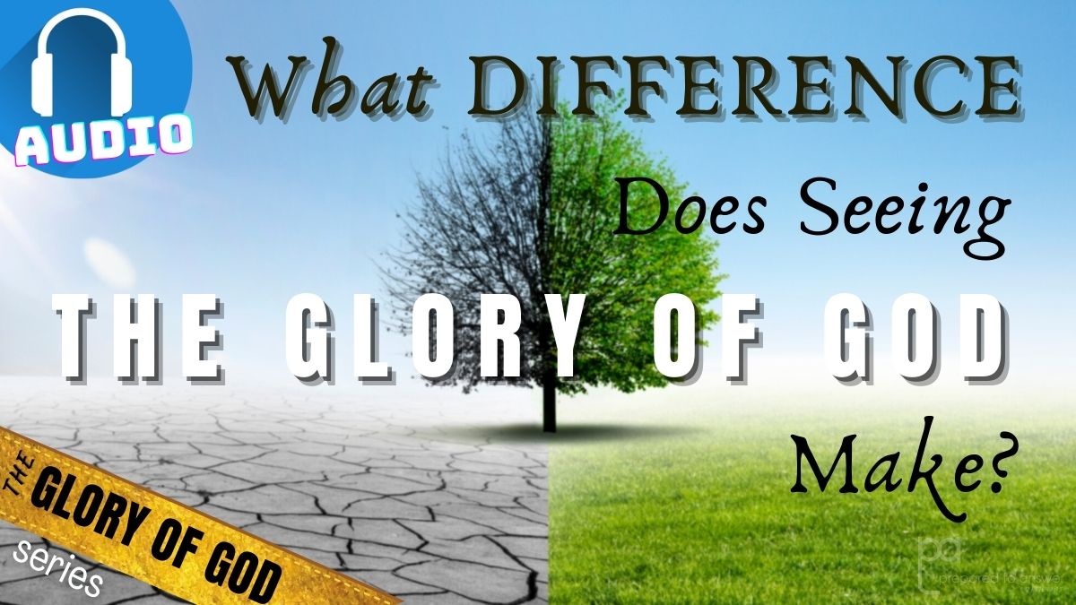 What Difference Does Seeing the Glory of God Make?