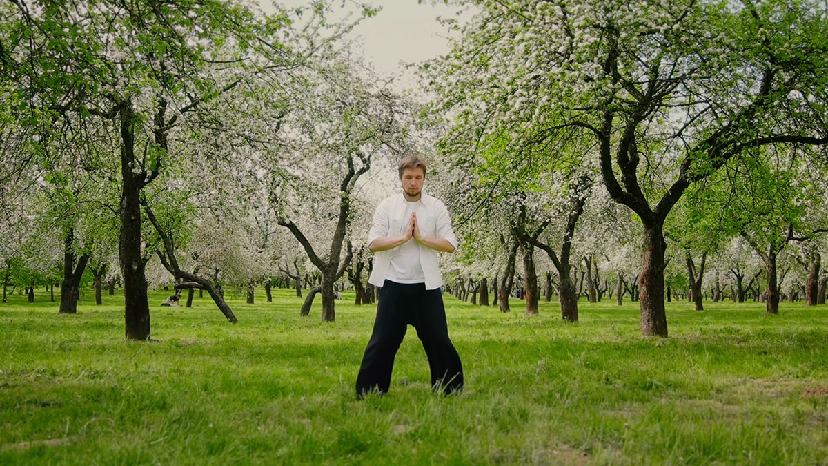 A man meditates in a grove of trees