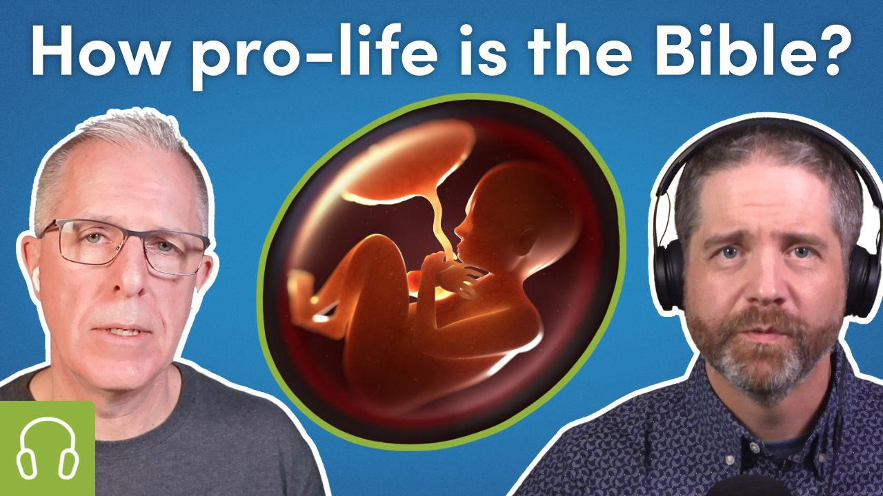 How pro-life is the Bible? Scott and Shawn stand beside a graphic of a fetus in the womb