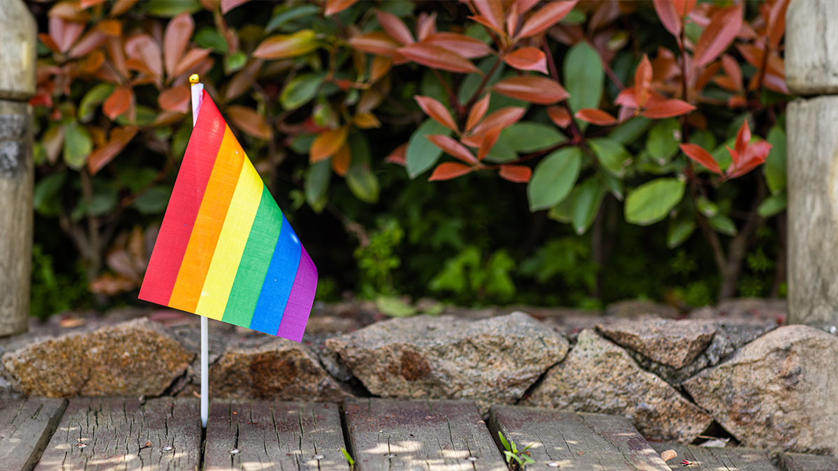 A gay pride flag has been left by itself, stuck between the planks of a boardwalk