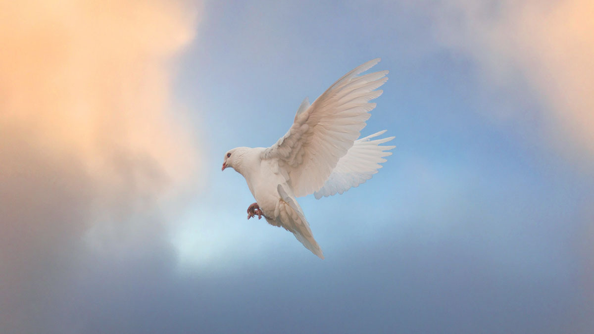 The Holy Spirit descending from the sky as a dove