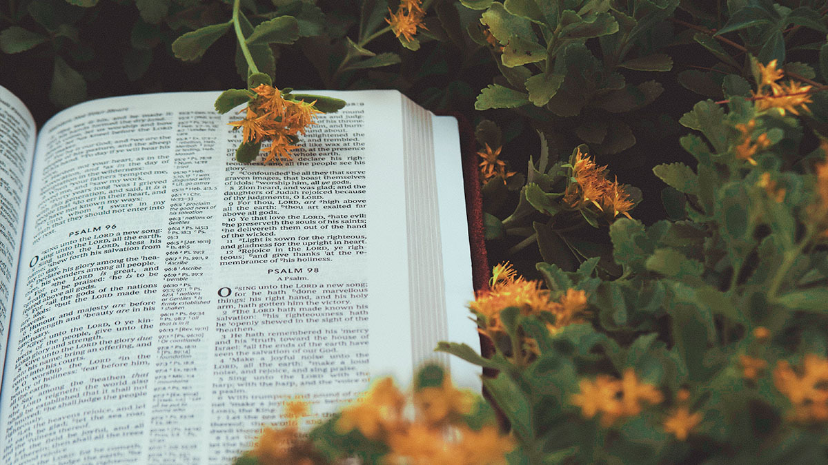 An open Bible among flowers